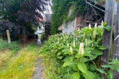 Einfamilienhaus auf sehr großem Grundstück für Handwerker und Gartenfreunde in Weferlingen