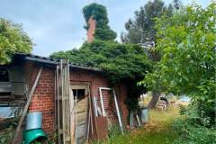 Einfamilienhaus auf sehr großem Grundstück für Handwerker und Gartenfreunde in Weferlingen