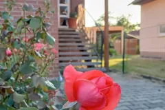 efh-kloetze-kunrau-mit-nebengelass-garten-05