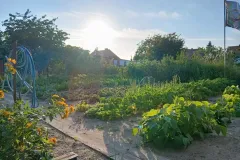 efh-kloetze-kunrau-mit-nebengelass-garten-25