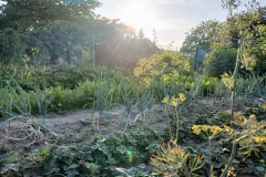efh-kloetze-kunrau-mit-nebengelass-garten-26